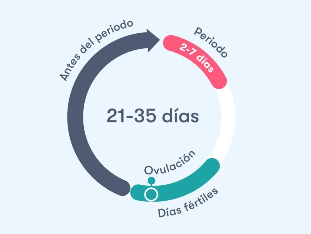 App Calendario Menstrual Flo