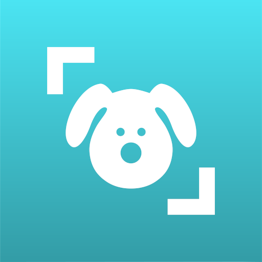 App Dog Scanner para saber la raza de tú perro