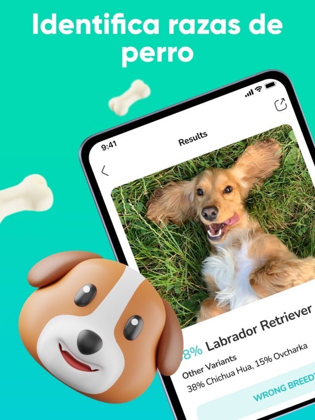 App Identifica la raza de tu perro