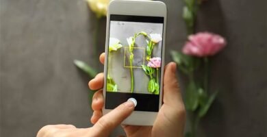 Apps para Reconocer Colores con la cámara