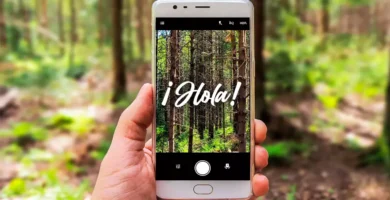 Mejores Aplicaciones para Escribir Frases en fotos