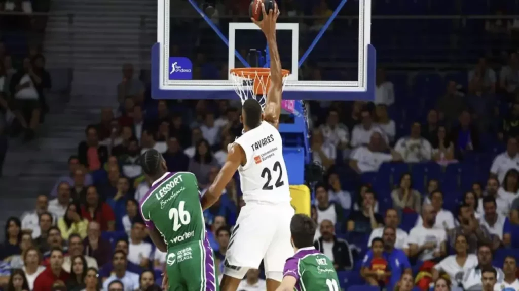 Todo lo que Necesitas Saber para Ver Baloncesto en Vivo